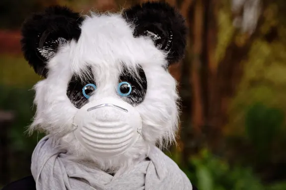 Казино оф Дриймс Поддръжка